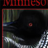 loon