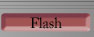 Flash
