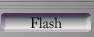 Flash