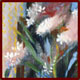 Paperwhites