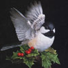 Chickadee/Lenox